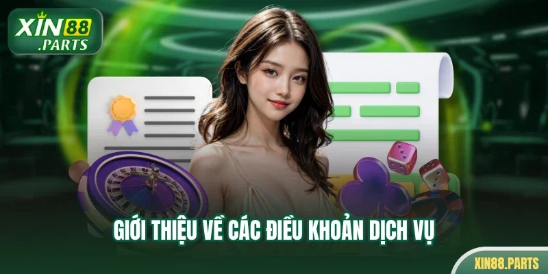 Giới thiệu về các điều khoản dịch vụ