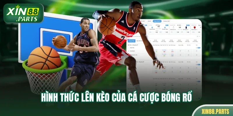 Hình thức lên kèo của cá cược bóng rổ