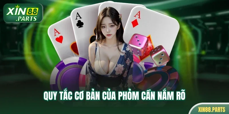 Quy tắc cơ bản của phỏm cần nắm rõ